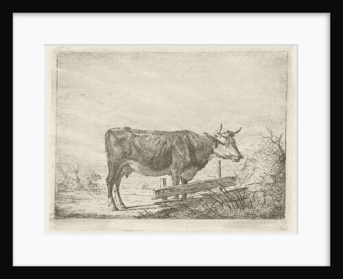 Cow standing by a fence by Pieter Gaal