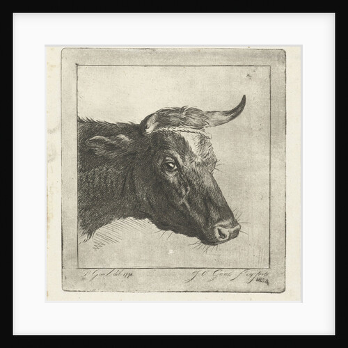 Head of a cow with rope to the horns by Jacobus Cornelis Gaal