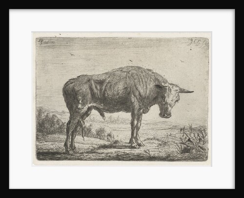 Standing bull by Jacobus Cornelis Gaal