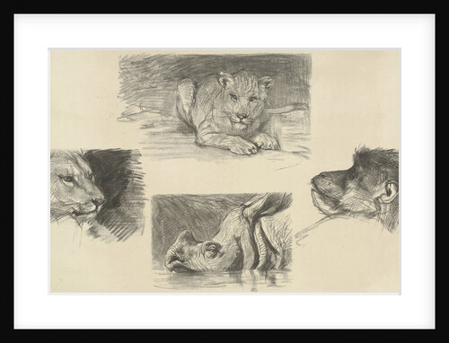 Reclining lion, monkey face, rhino, lion by August Allebé