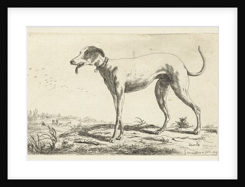 Greyhound Diana by Gerardus Emaus de Micault