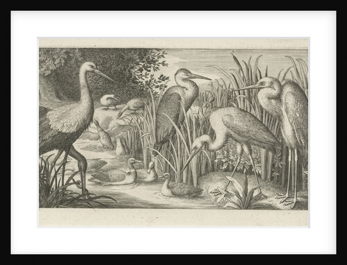 Storks and ducks at a pond by Jan van Londerseel