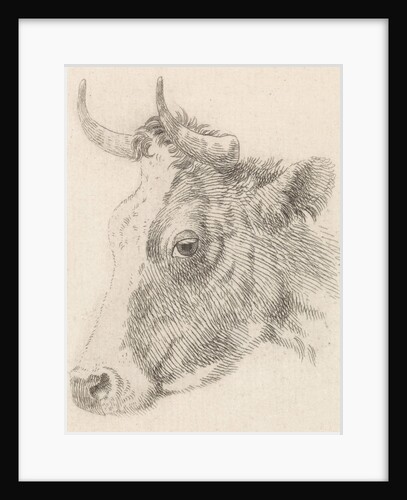 Head of a bull by Dirk van Oosterhoudt