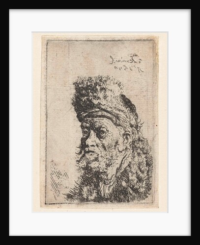 Bust of a man with fur hat by Salomon Koninck