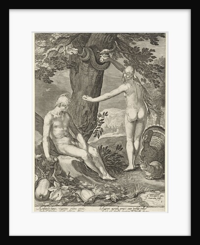 Fall by Isaac Houwens