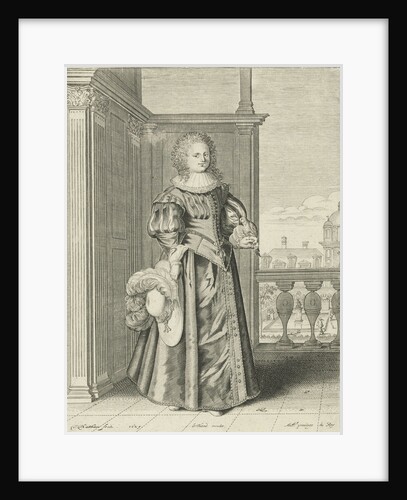 Falconer Star by Lodewijk XIII