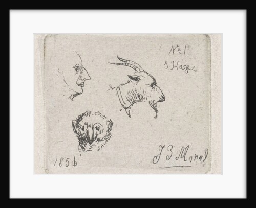 Mans Head, goat and owl by Jan Evert Morel II