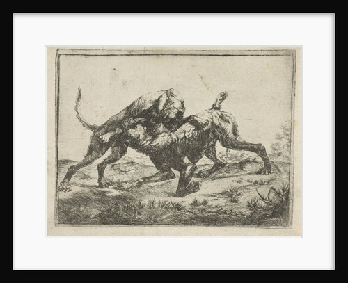 Fighting dogs by Pauwels van Hillegaert