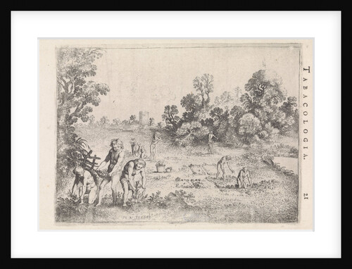 Indians picking tobacco by Isaac Elzevier