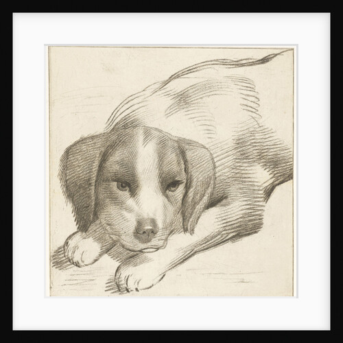 Lying dog by Cornelis Visscher II