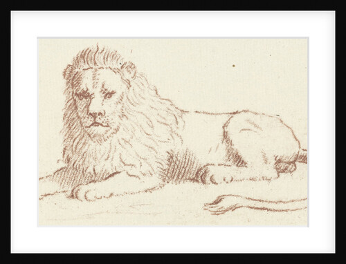 Leo by Cornelis van Noorde