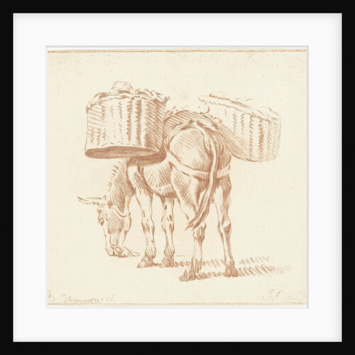 Loaded donkey by Jurriaan Cootwijck