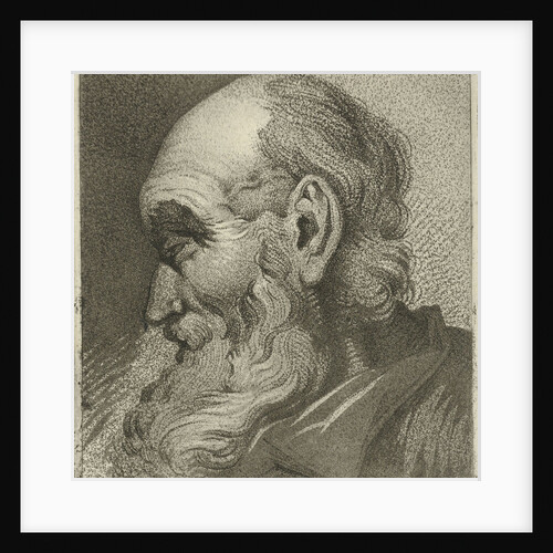 Portrait of an old man in profile by Hermanus Fock