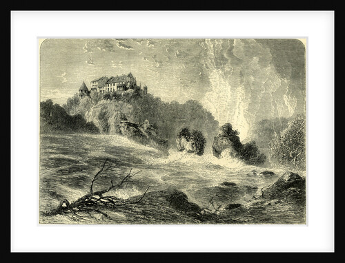 The Falls of the Rhine Schaffhausen Switzerland by Anonymous
