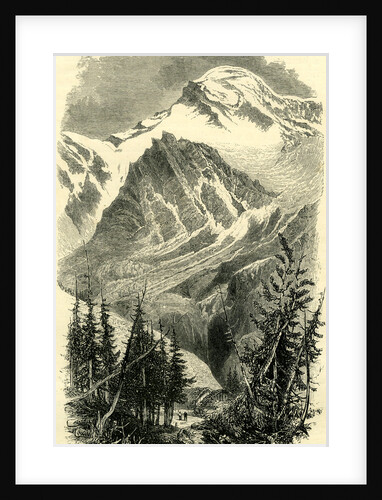Head of the Val Anzasca Switzerland by Anonymous