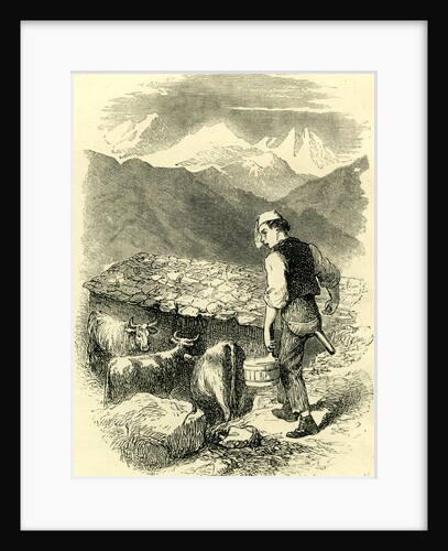 Swiss Cowherd Switzerland by Anonymous
