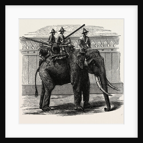 A Siamese War Elephant. by Anonymous