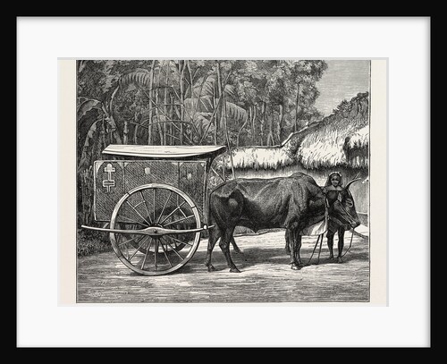 A Bullock Carriage in Cochin-China. by Anonymous