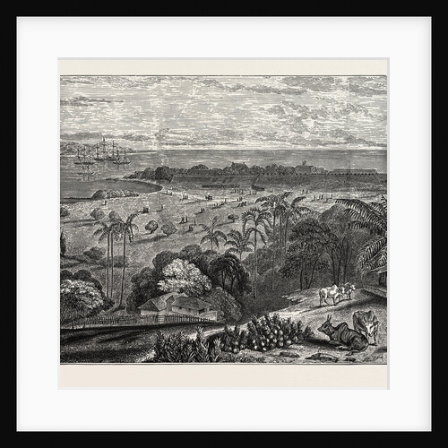 View of Point De Galle, Ceylon, Sri Lanka by Anonymous
