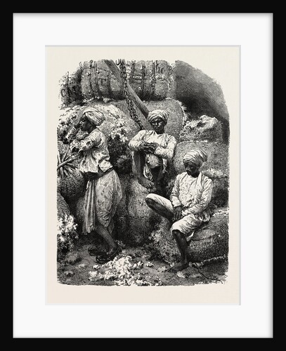 Indian Cotton Operatives by Anonymous