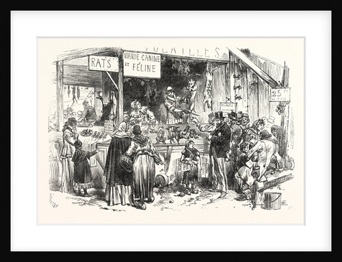 on the Market of St. Germain. At the Dogs and Cats Butcher. Fresh Rats, 1 Frank a Piece, 1871. France by Anonymous