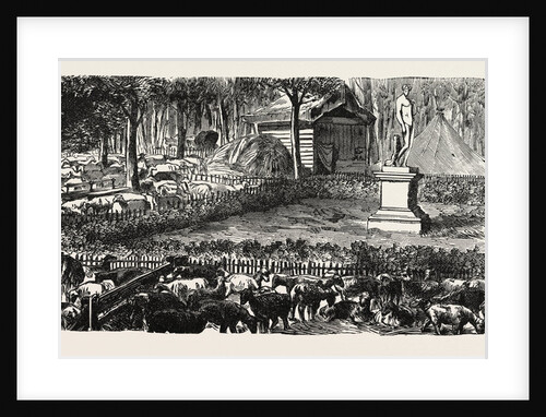 The Last in the Luxembourg Gardens Housed Sheep, France by Anonymous
