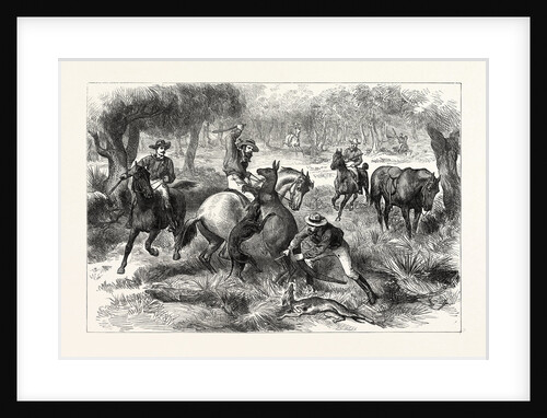 Kangaroo-Hunting in Australia by Anonymous
