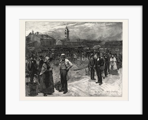Market Day, Hamilton, Canada by Anonymous