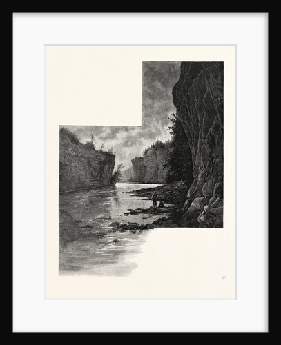 Meeting of the Waters, Junction of Grand and Irvine Rivers, Elora, Canada by Anonymous