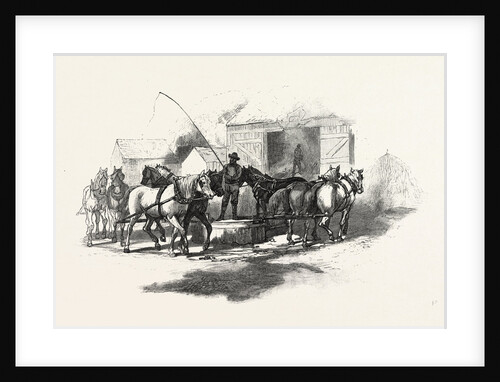 Threshing by Horse Power, Canada by Anonymous