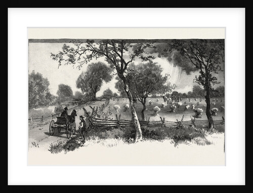 Where Tecumseh Stood at Bay, Canada by Anonymous