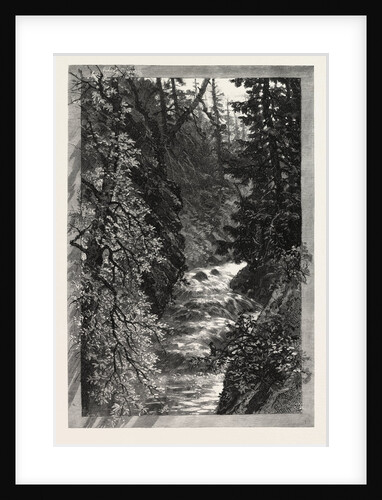 A Trout Pool on the Saugeen, Canada by Anonymous