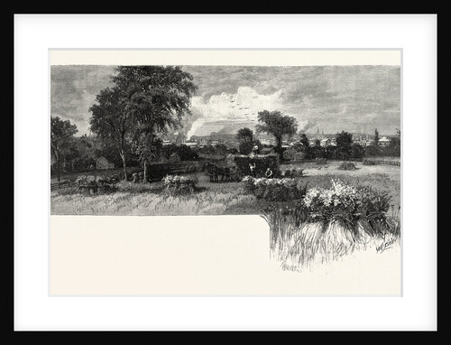 Harvesting Near Oshawa, Canada by Anonymous