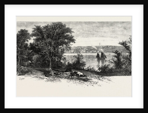 Port Perry, from Scugog Island, Canada by Anonymous