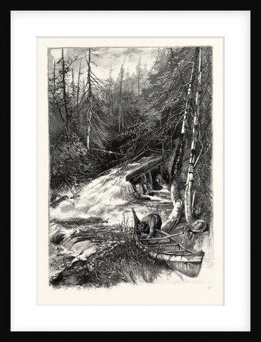 Forest Stream, and Timber Slide, Canada by Anonymous