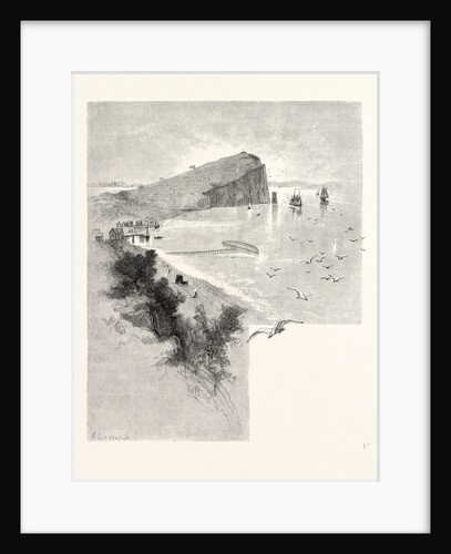 New Brunswick, Friar's Head, Campobello Island, Canada by Anonymous