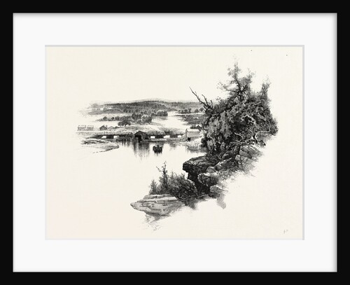 New Brunswick, Looking Up South-West Miramichi, Canada by Anonymous