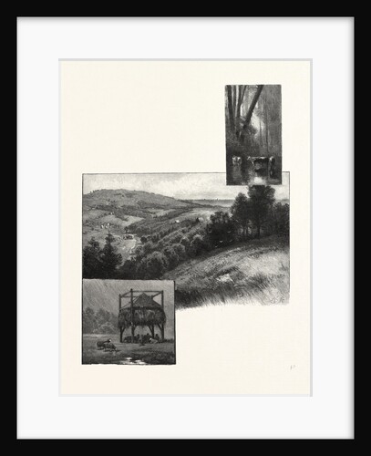 Prince Edward Island, Pastoral Scenes, Canada by Anonymous