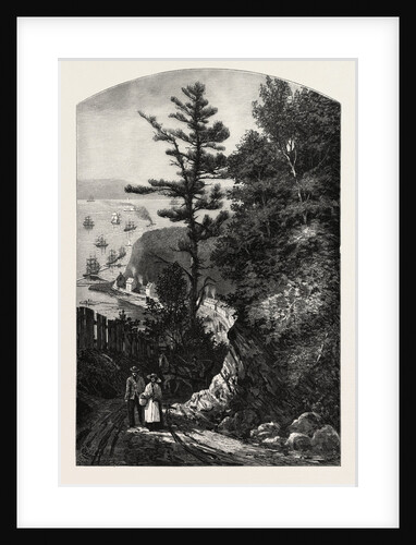 Wolfe's Cove., Canada by Anonymous