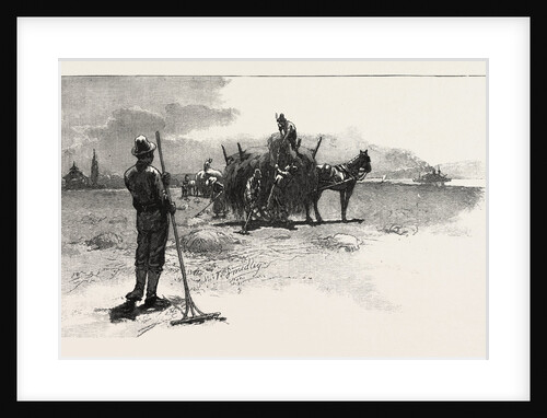 French Canadian Life, Gathering Marsh Hay, Canada by Anonymous