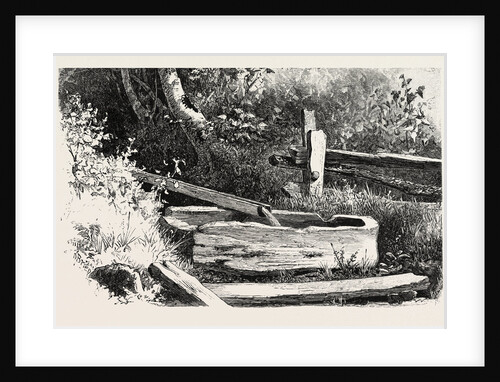 French Canadian Life, Wayside Watering Trough, Canada by Anonymous