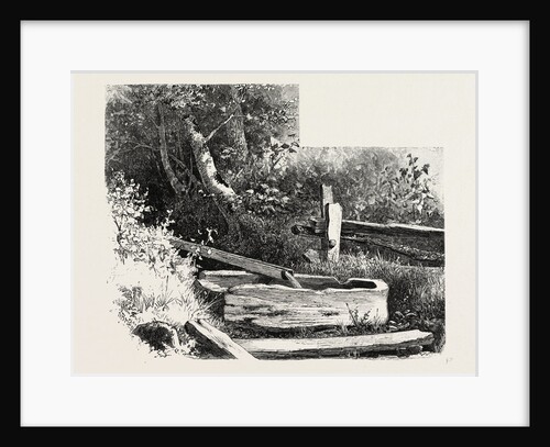 French Canadian Life, Wayside Watering Trough, Canada by Anonymous