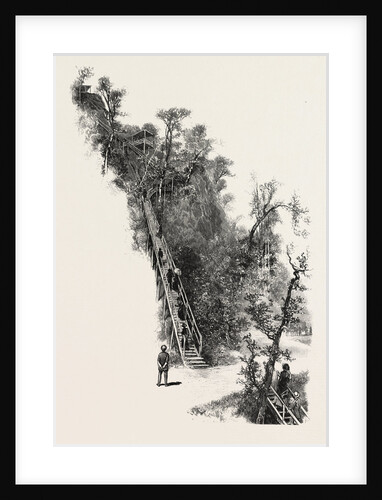 Montreal, L'Escalier, Canada by Anonymous