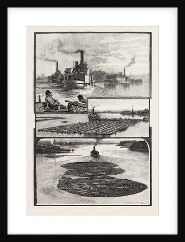 Glimpses of the Lower Ottawa, the Lumber Trade, Canada by Anonymous