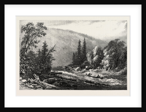 Running the Rapids, Canada by Anonymous