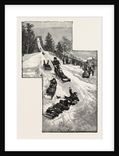 Ottawa, Tobogganning at Government House, Canada by Anonymous