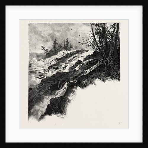 The Upper Ottawa, the Chats Falls, Canada by Anonymous