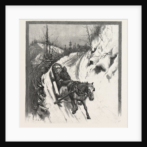 Lumbering, Canada by Anonymous