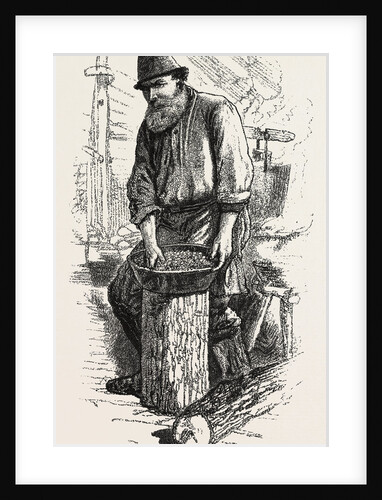 Men of the Bush, the Cook, Sketches from Life, Canada by Anonymous