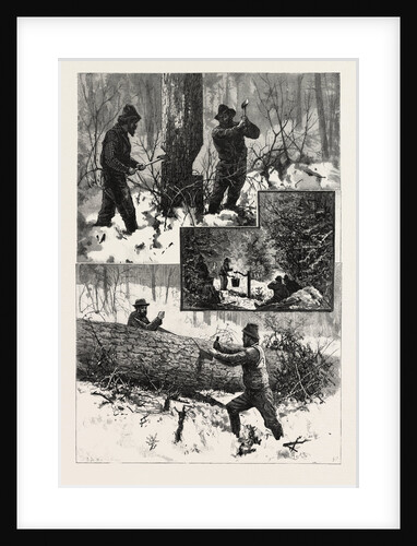 Chopping and Sawing, Lumbering, Canada by Anonymous
